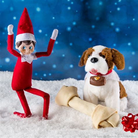 elf pets|elf pets website.